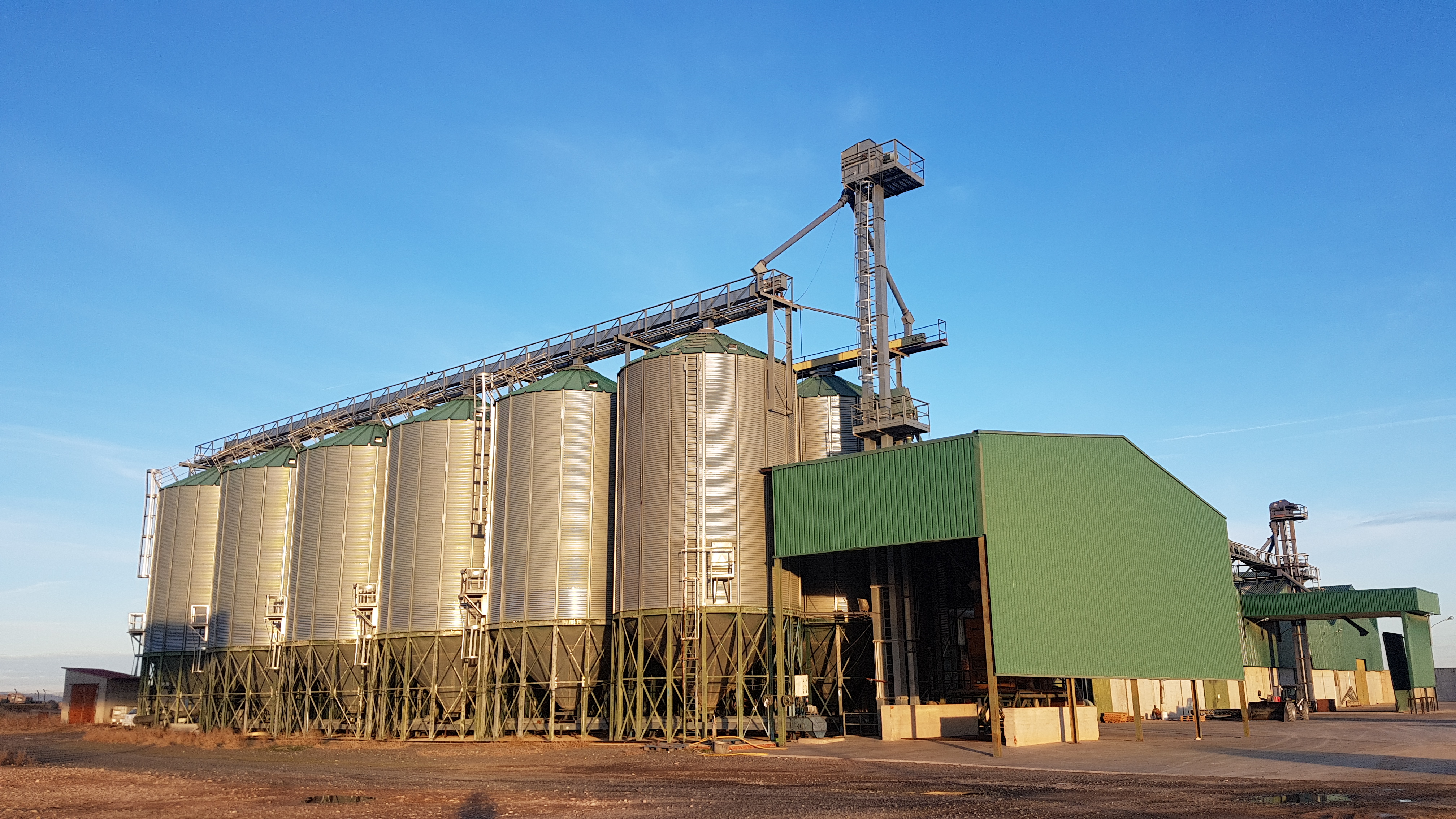 Tierra de Calatrava de Miguelturra, Sociedad Cooperativa de Castilla-La Mancha